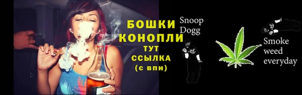 индика Пестово