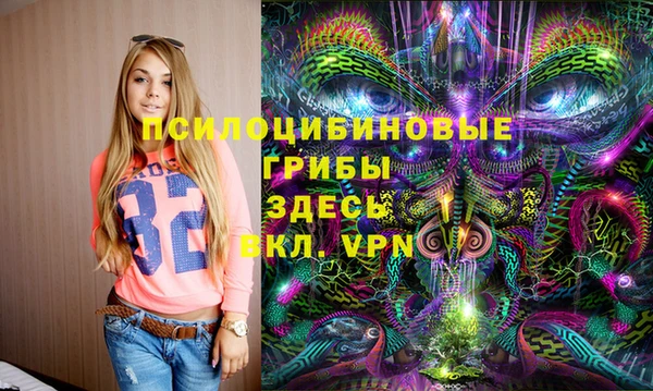 амфетамин Алексеевка
